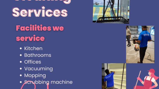 _Pink Illustrated Best Cleaning Service Instagram Post