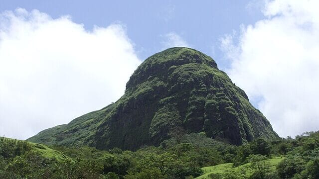 Tamhini_ghat_in_rainy_season_25