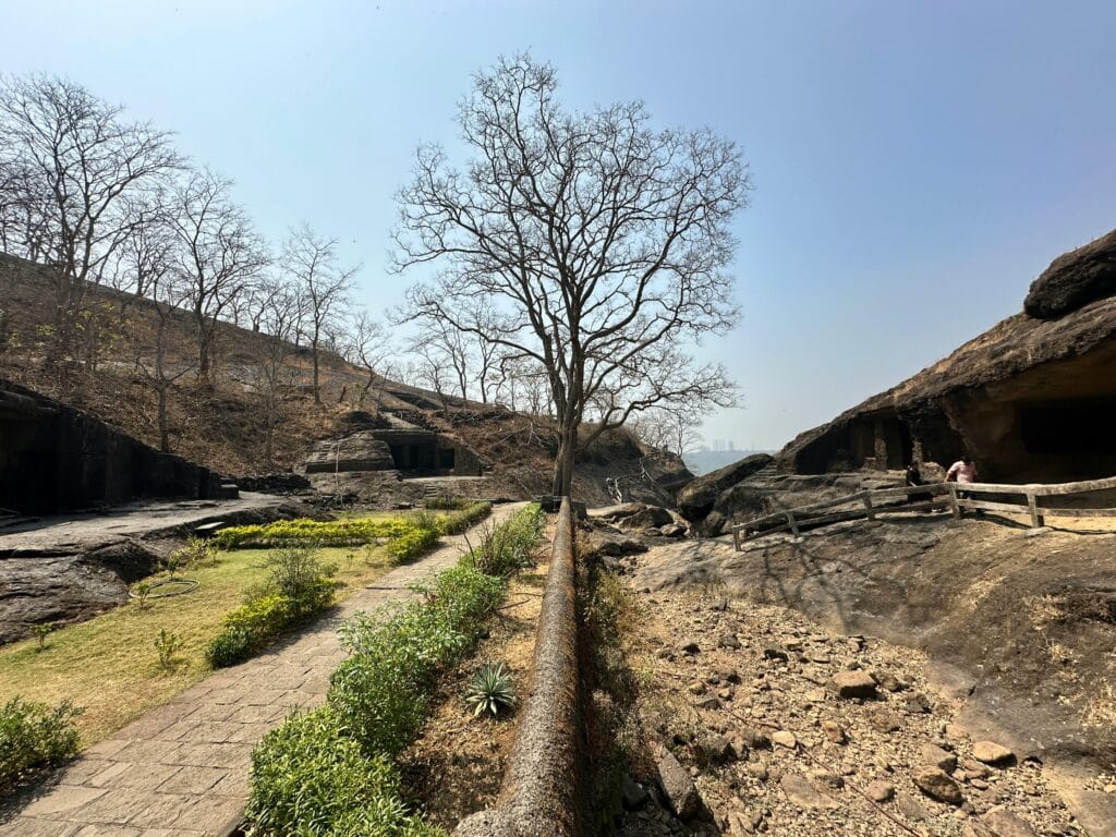 A tranquil view of trees and ancient caves at Mumbai's Sanjay Gandhi National Park.