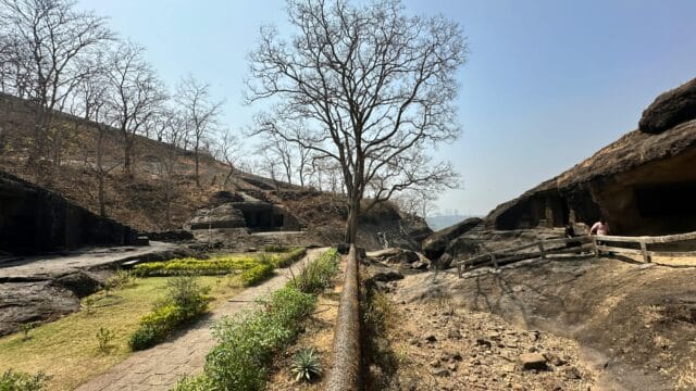 A tranquil view of trees and ancient caves at Mumbai's Sanjay Gandhi National Park.