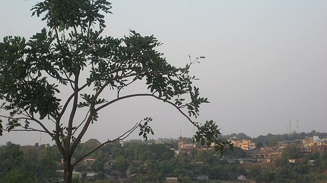 Jwahar_City_from_Jwahar_Road_-_panoramio